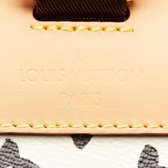 Louis Vuitton x Tyler the Creator Vanilly Craggy Monogram Canvas Christopher ... - Picture 9 of 12